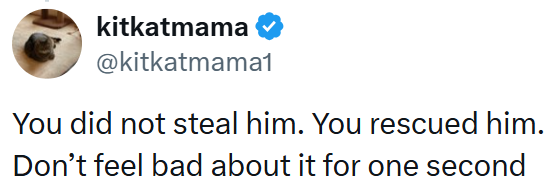 kitkatmama @kitkatmama1 You did not steal him. You rescued him. Don't feel bad about it for one second