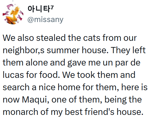 0|L|E+7 @missany We also stealed the cats from our neighbor,s summer house. They left them alone and gave me un par de lucas for food. We took them and search a nice home for them, here is now Maqui, one of them, being the monarch of my best friend's house.