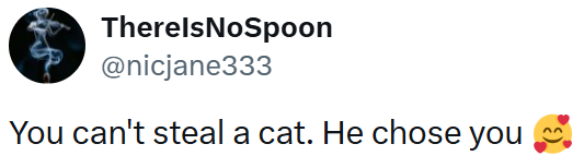 TherelsNoSpoon @nicjane333 You can't steal a cat. He chose you