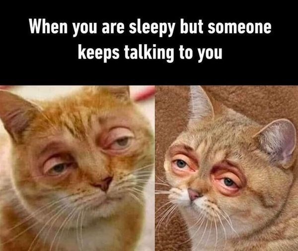 When you are sleepy but someone keeps talking to you