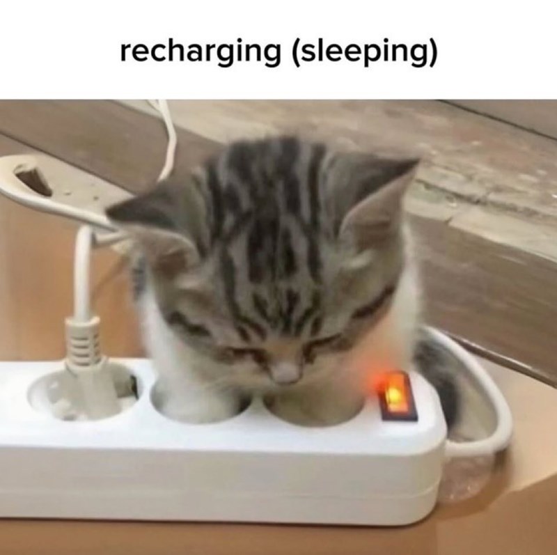 recharging (sleeping)