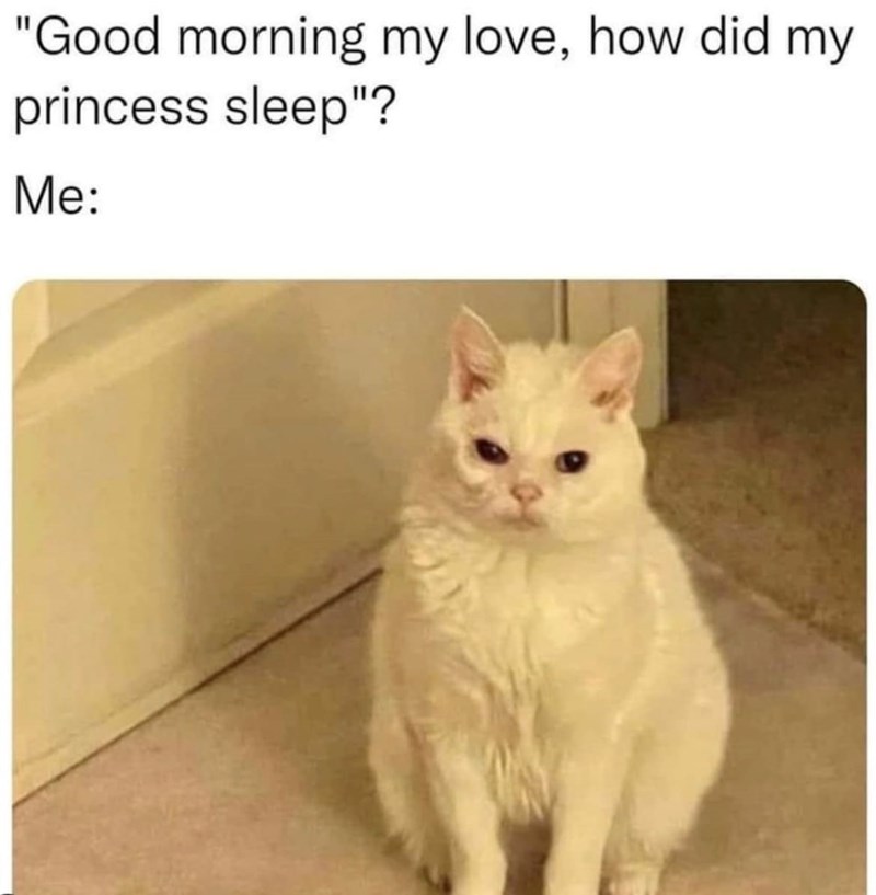 "Good morning my love, how did my princess sleep"? Me: