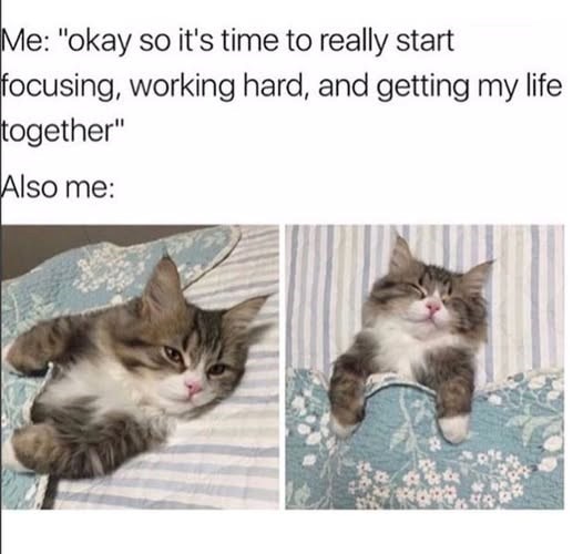 Me: "okay so it's time to really start focusing, working hard, and getting my life together" Also me: