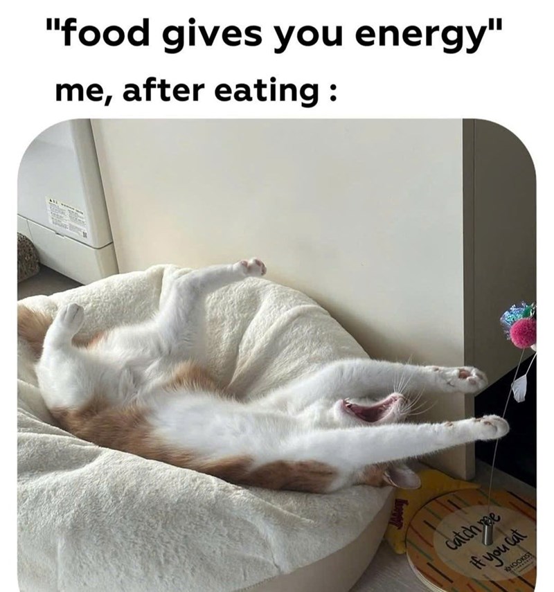 "food gives you energy" me, after eating: Catch e If you cat KNOOKIST