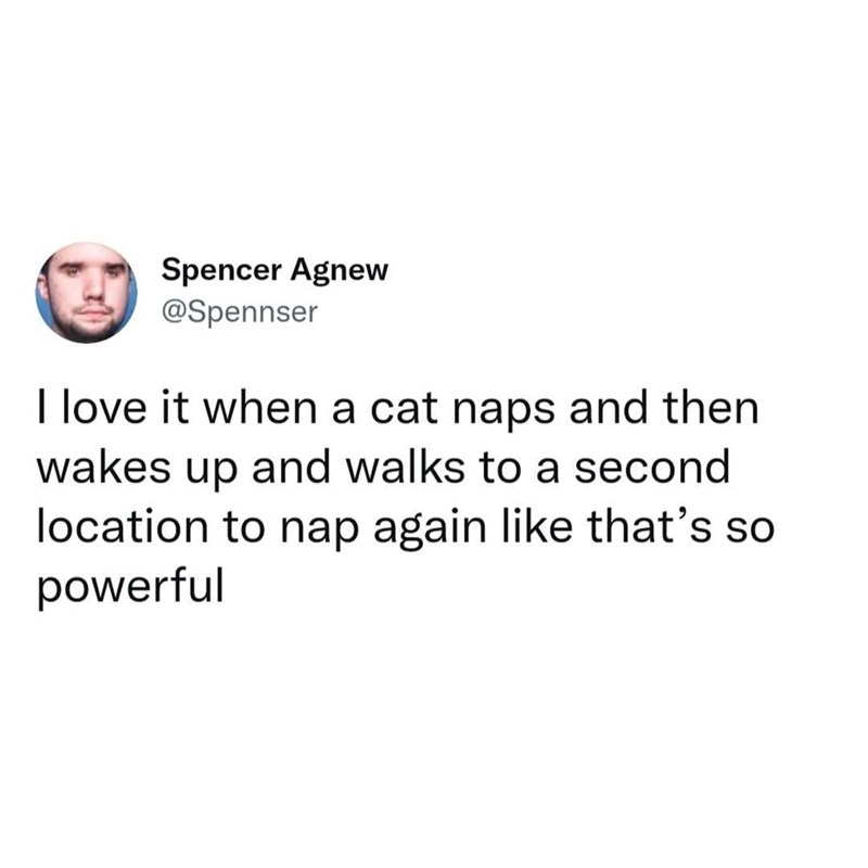 Spencer Agnew @Spennser I love it when a cat naps and then wakes up and walks to a second location to nap again like that's so powerful