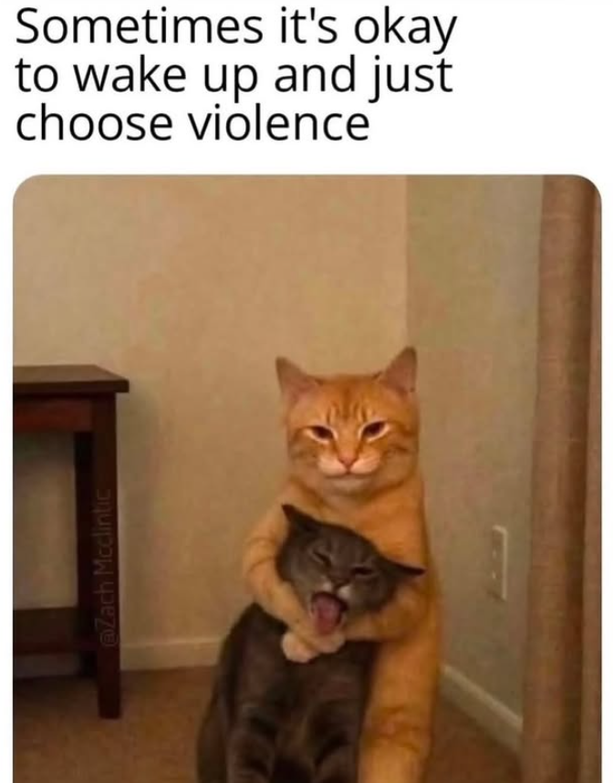 @Zach Mcclintic Sometimes it's okay to wake up and just choose violence