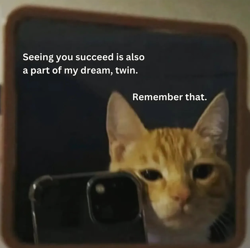 Seeing you succeed is also a part of my dream, twin. Remember that.