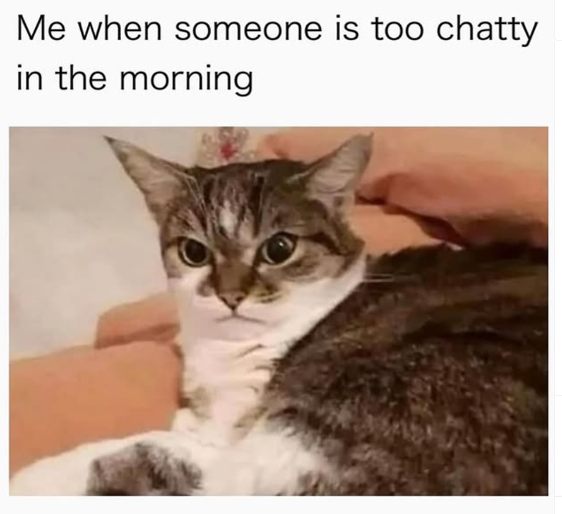 Me when someone is too chatty in the morning