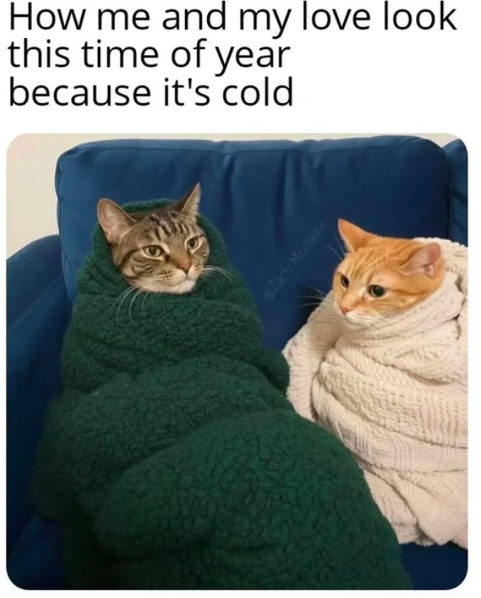 How me and my love look this time of year because it's cold Zach Mcclintic