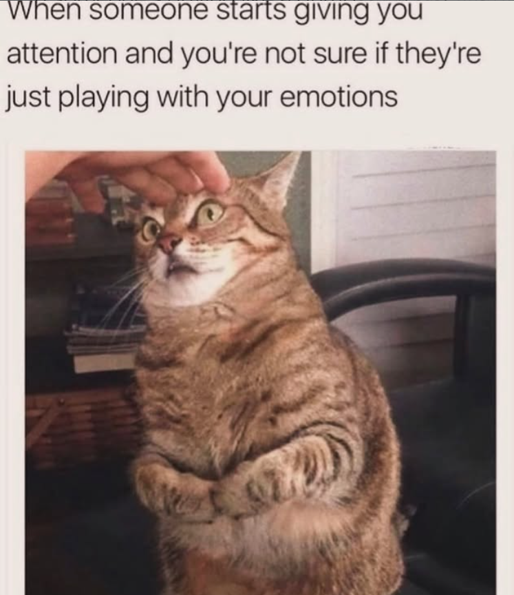 When someone starts giving you attention and you're not sure if they're just playing with your emotions