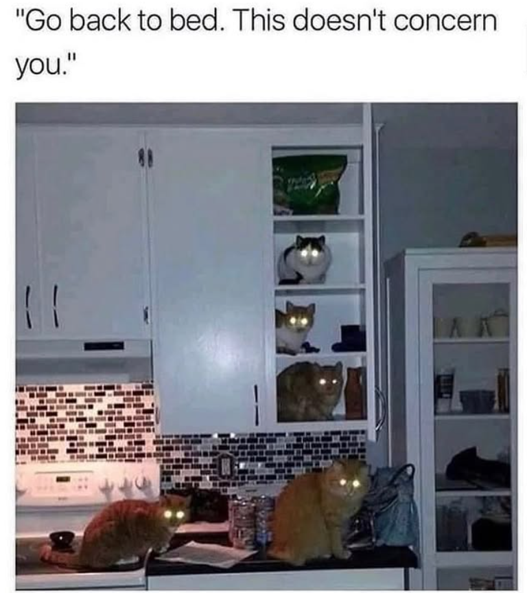 "Go back to bed. This doesn't concern you."