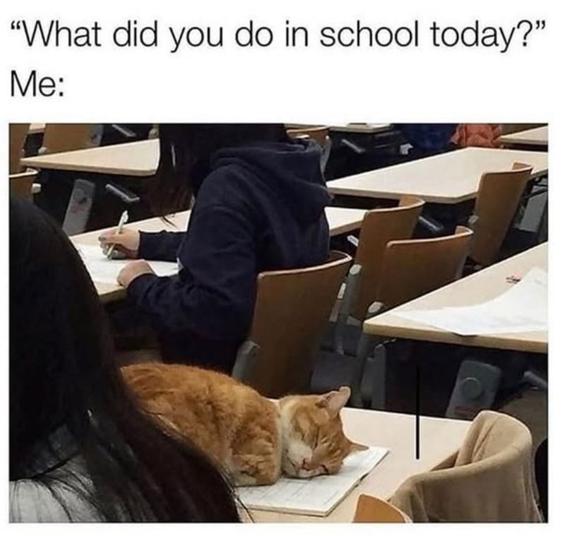 "What did you do in school today?" Me: