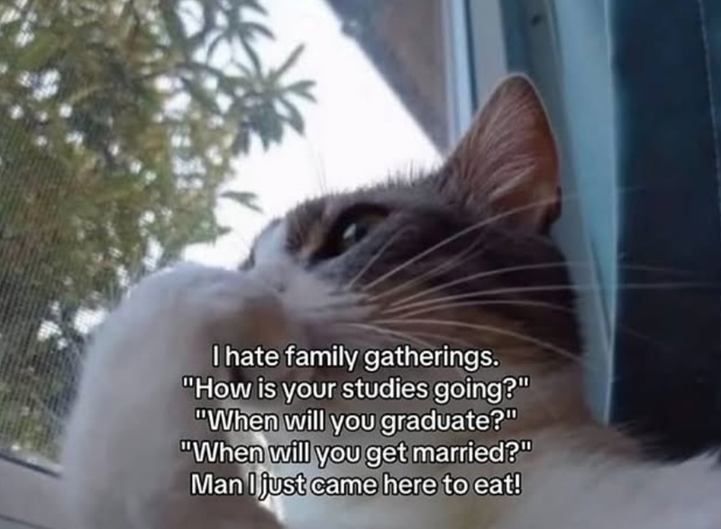 I hate family gatherings. "How is your studies going?" "When will you graduate?" "When will you get married?" Man I just came here to eat!
