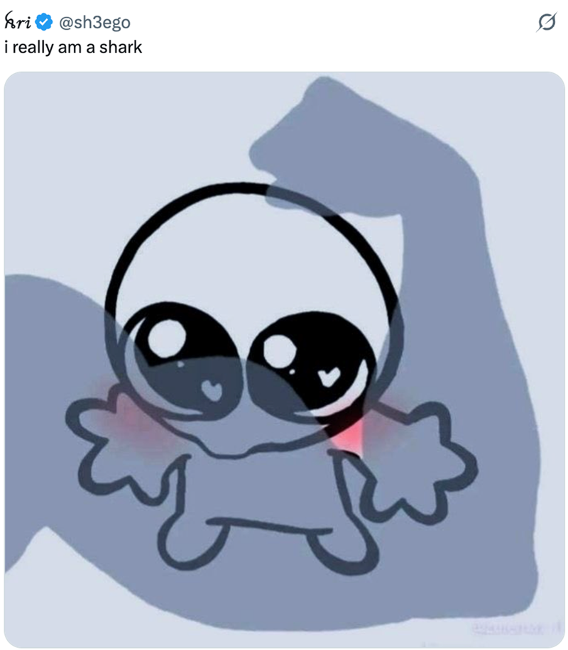hri @sh3ego i really am a shark