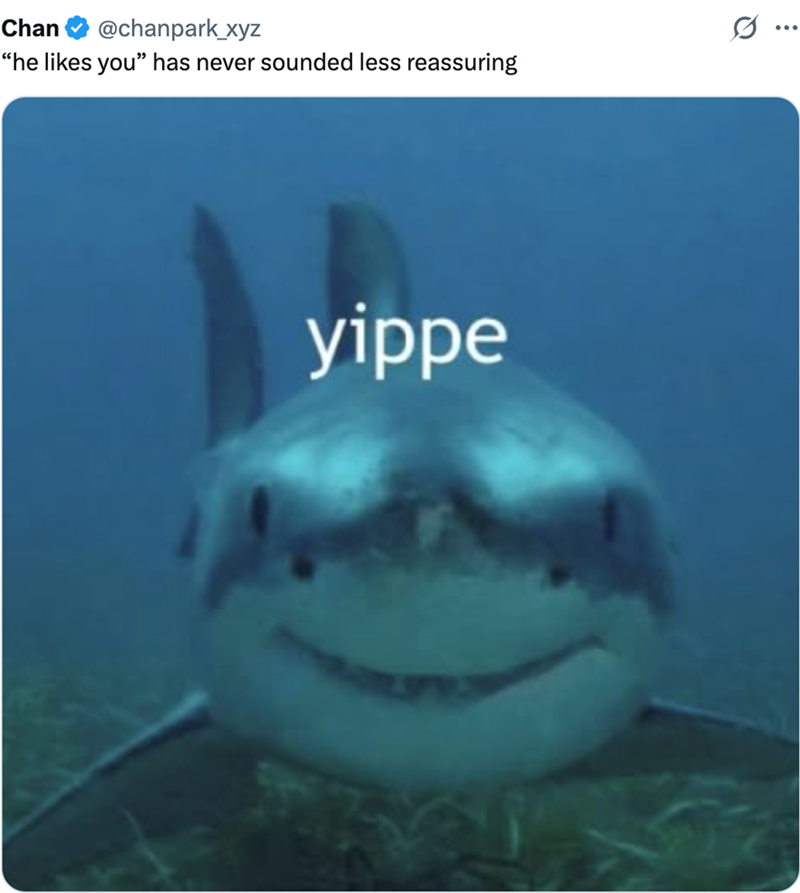 Chan @chanpark_xyz "he likes you" has never sounded less reassuring yippe