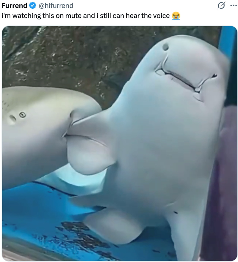 Furrend @hifurrend i'm watching this on mute and i still can hear the voice Q