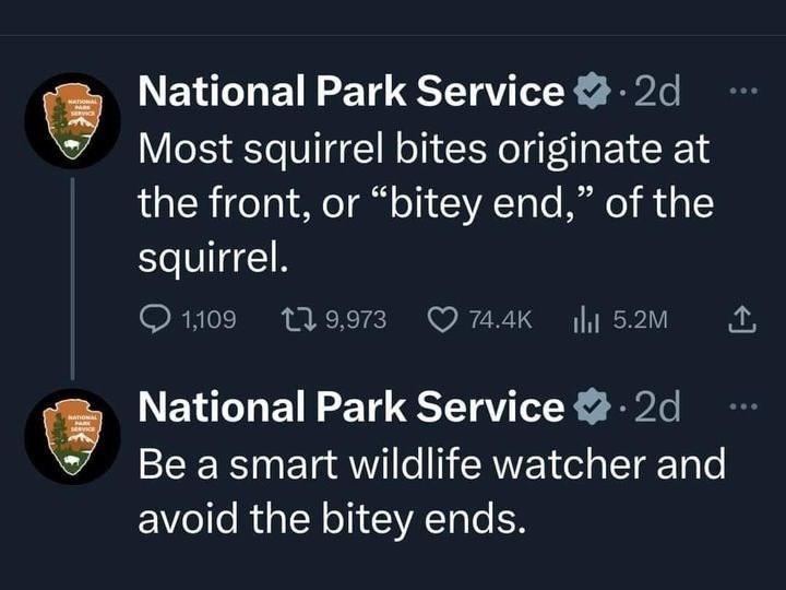 SERVICE NATIONAL National Park Service ✩.2d Most squirrel bites originate at the front, or "bitey end," of the squirrel. 1,109 9,973 74.4K 5.2M National Park Service ❤.2d Be a smart wildlife watcher and avoid the bitey ends.