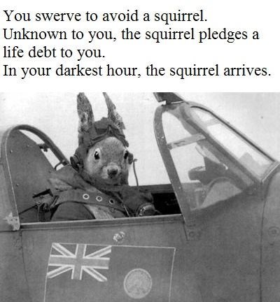 You swerve to avoid a squirrel. Unknown to you, the squirrel pledges a life debt to you. In your darkest hour, the squirrel arrives.