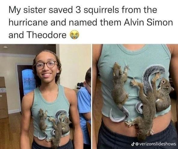 My sister saved 3 squirrels from the hurricane and named them Alvin Simon and Theodore @verizonslideshows