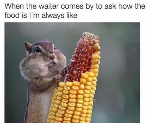 When the waiter comes by to ask how the food is I'm always like