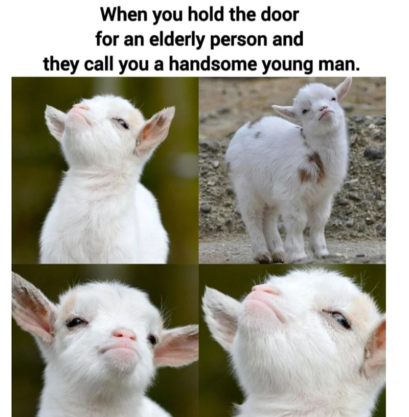 When you hold the door for an elderly person and they call you a handsome young man.