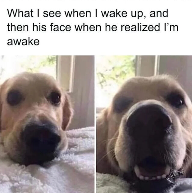 What I see when I wake up, and then his face when he realized I'm awake