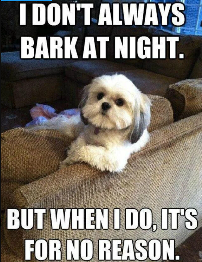 I DON'T ALWAYS BARK AT NIGHT. BUT WHEN I DO, IT'S FOR NO REASON.