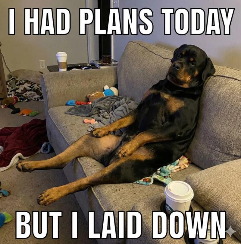 I HAD PLANS TODAY " BUT I LAID DOWN