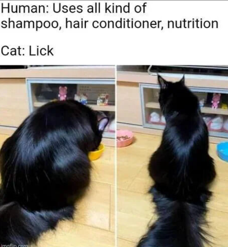 Human: Uses all kind of shampoo, hair conditioner, nutrition Cat: Lick imaflin.com