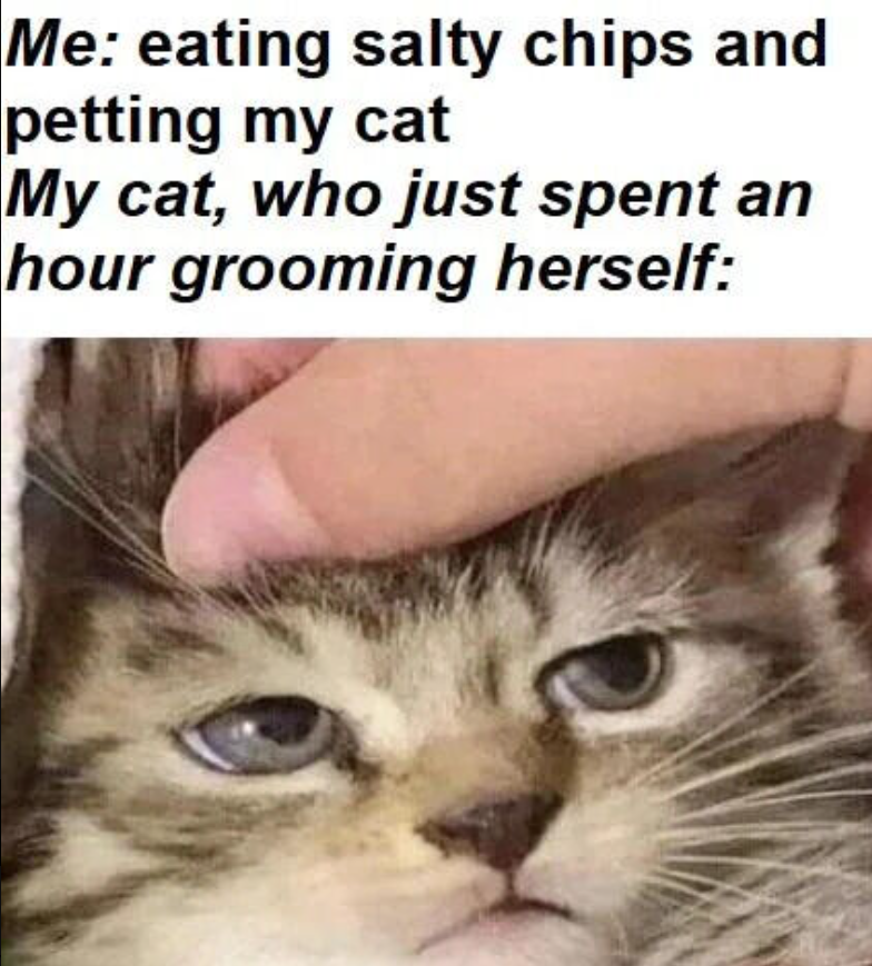 Me: eating salty chips and petting my cat My cat, who just spent an hour grooming herself: