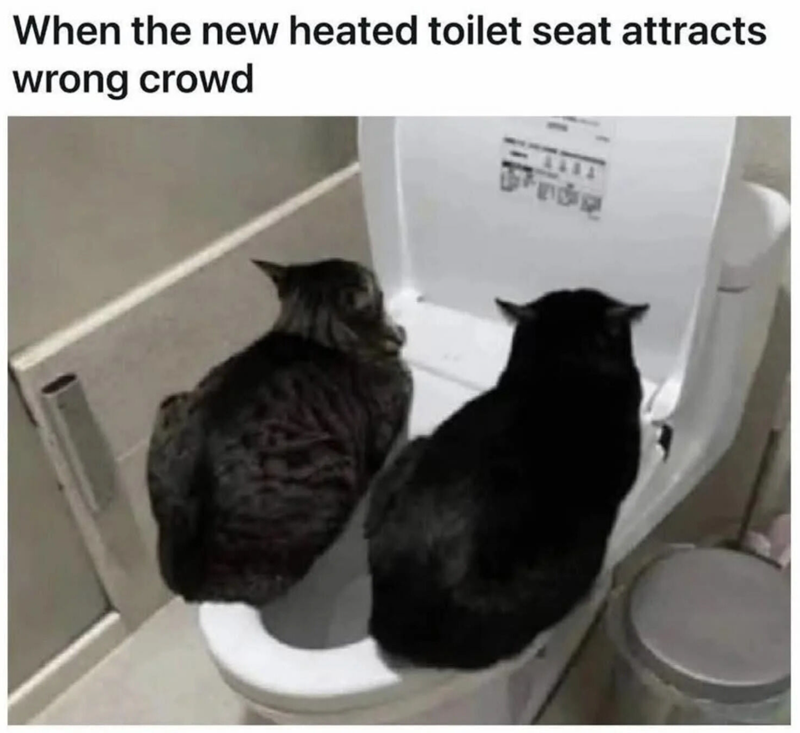 When the new heated toilet seat attracts wrong crowd
