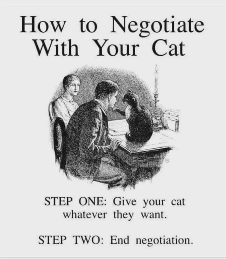 How to Negotiate With Your Cat STEP ONE: Give your cat whatever they want. STEP TWO: End negotiation.