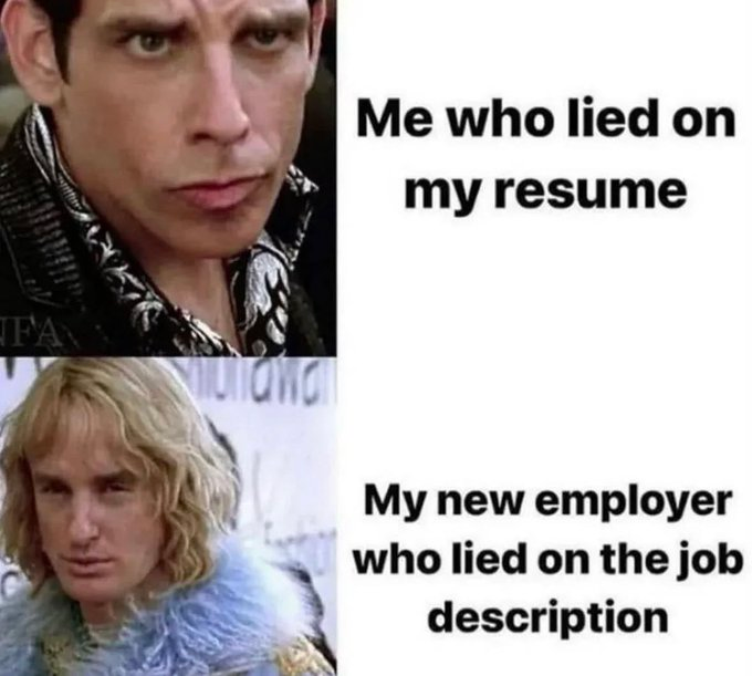 FAN Me who lied on my resume My new employer who lied on the job description