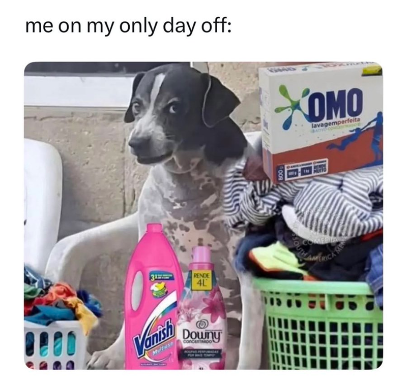 me on my only day off: XOMO lavagemperfeita 31 RENDE 4L Vanish Downy concenTRADO HOUPAS MAIS TEMPL 008 COMEDIA ALLAMERICA