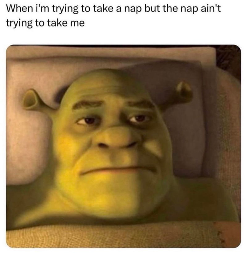 When i'm trying to take a nap but the nap ain't trying to take me