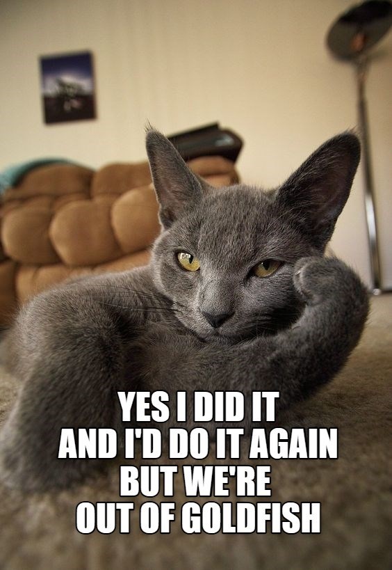 Cheezburger Image 10627416576