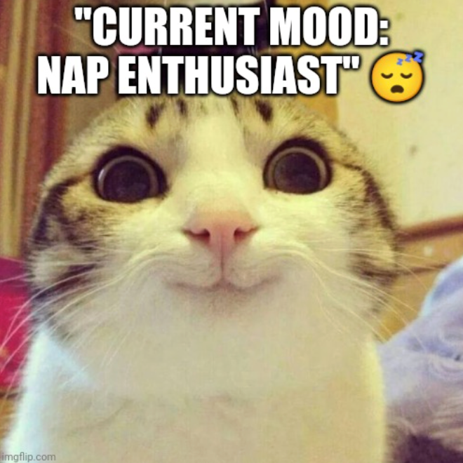 "CURRENT MOOD: NAP ENTHUSIAST" imgflip.com