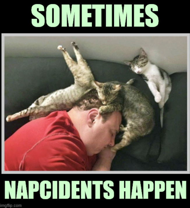 SOMETIMES NAPCIDENTS HAPPEN imgflip.com