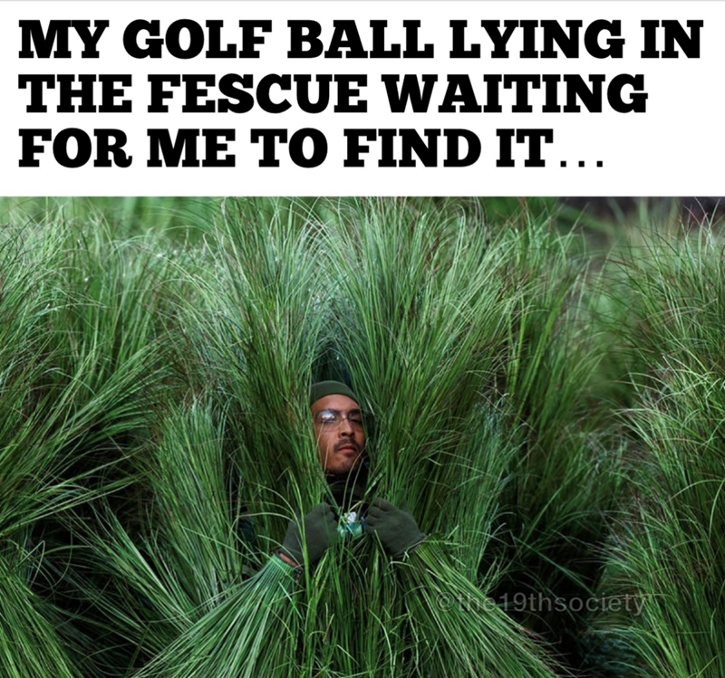 MY GOLF BALL LYING IN THE FESCUE WAITING FOR ME TO FIND IT... the 19thsociety
