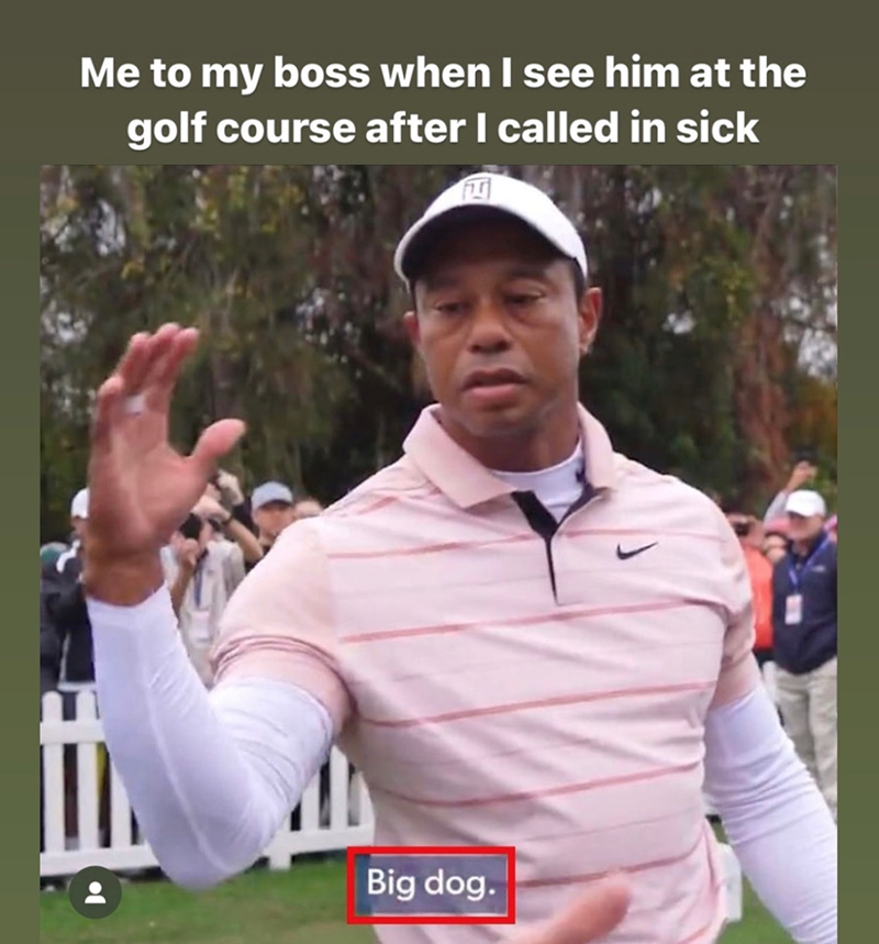 Me to my boss when I see him at the golf course after I called in sick 四 Big dog.