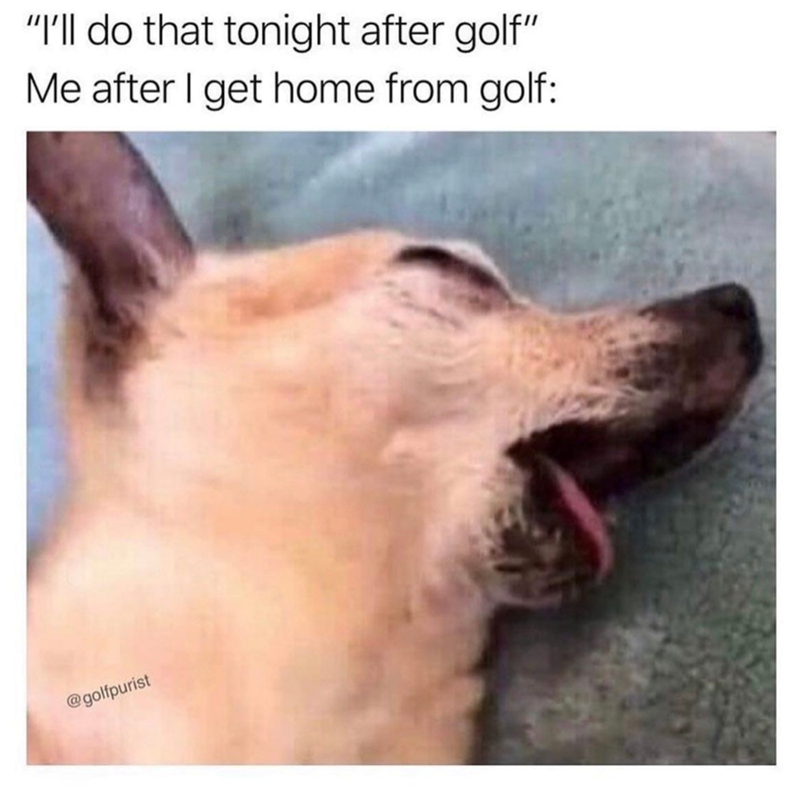 "I'll do that tonight after golf" Me after I get home from golf: @golfpurist