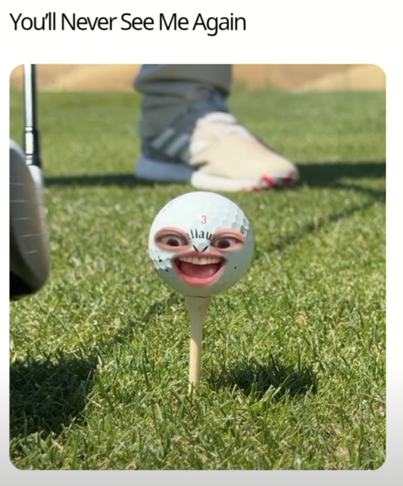 You'll Never See Me Again llau