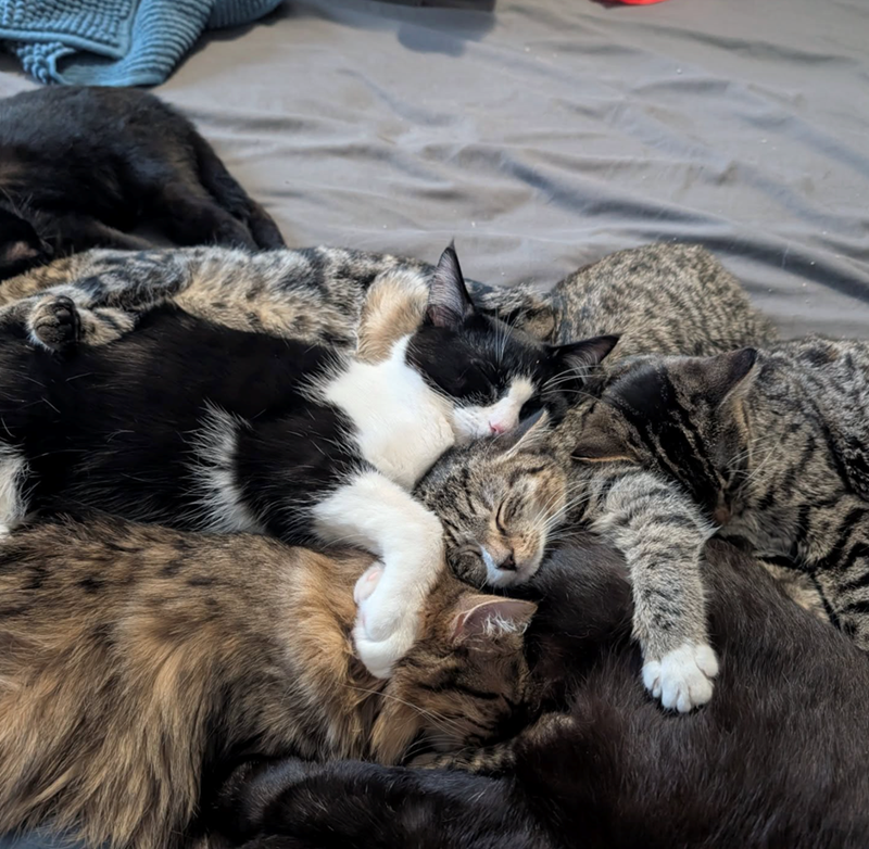 Cheezburger Image 10627448576