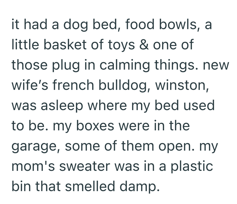 it had a dog bed, food bowls, a little basket of toys & one of those plug in calming things. new wife's french bulldog, winston, was asleep where my bed used to be. my boxes were in the garage, some of them open. my mom's sweater was in a plastic bin that smelled damp.