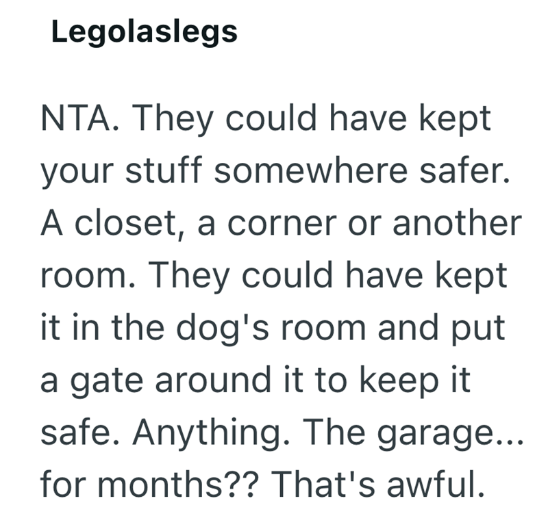 Legolaslegs NTA. They could have kept your stuff somewhere safer. A closet, a corner or another room. They could have kept it in the dog's room and put a gate around it to keep it safe. Anything. The garage... for months?? That's awful.