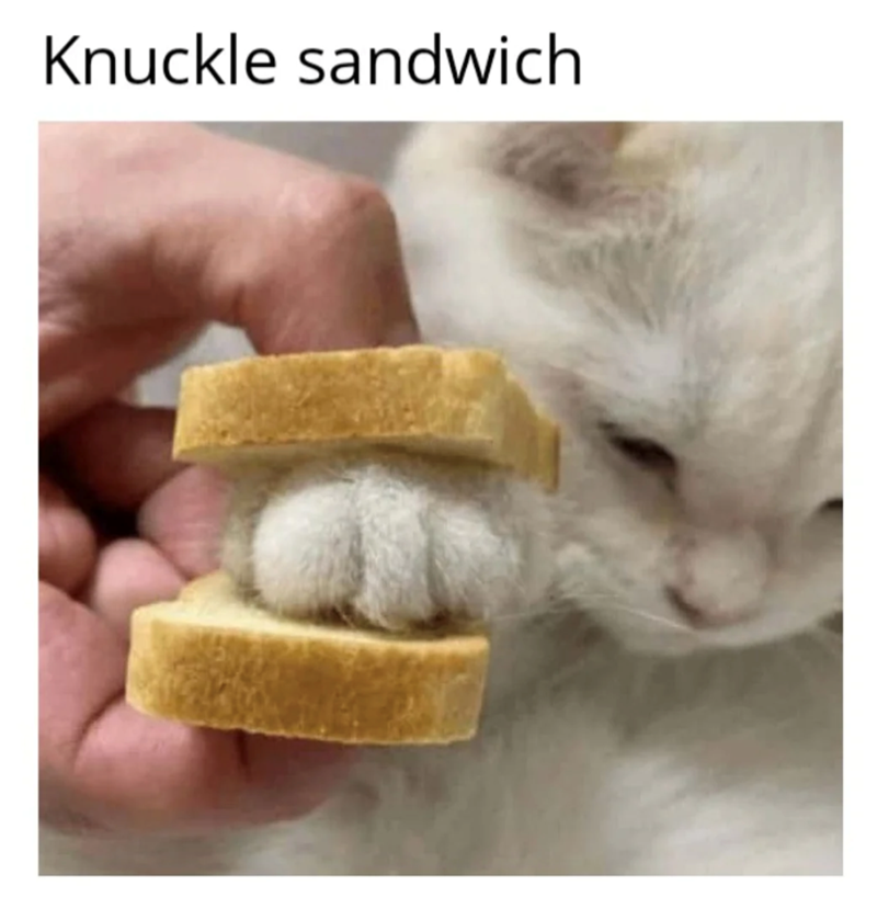 Knuckle sandwich