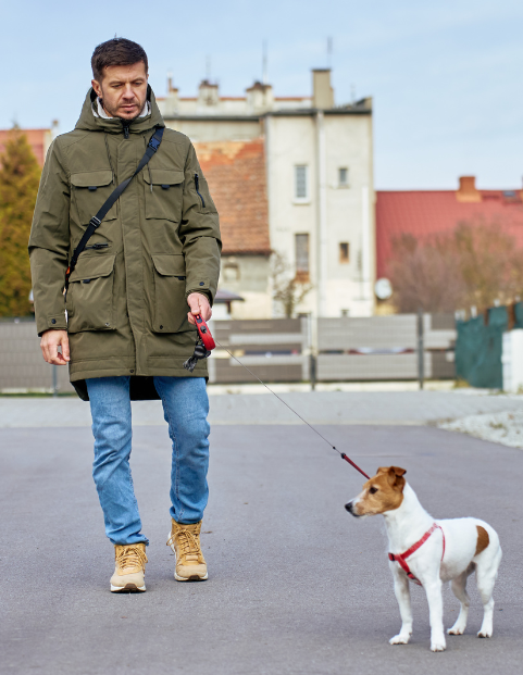 Man walking a jack russel terrier in the streets for his elderly neighbor. 