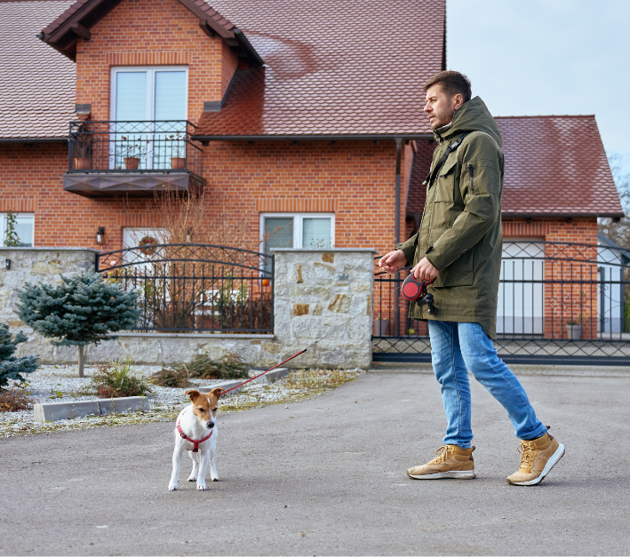 Man walking a jack russel terrier in the streets for his elderly neighbor. 