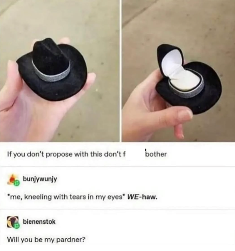 If you don't propose with this don't f bother bunjywunjy *me, kneeling with tears in my eyes* WE-haw. bienenstok Will you be my pardner?