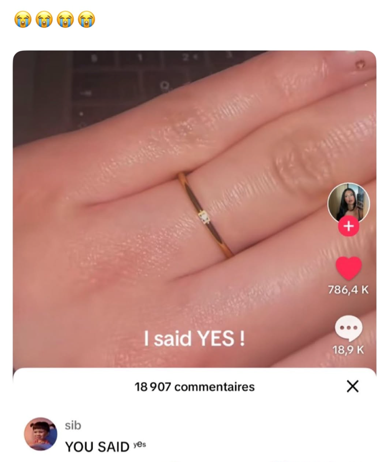 I said YES! 18907 commentaires sib YOU SAID yes + 786,4 K 18,9 K